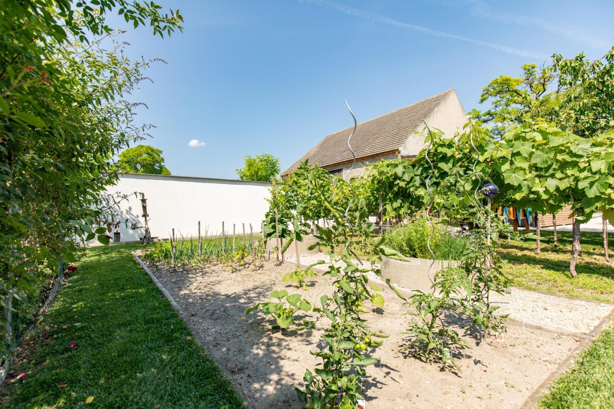 Uiferhaeuser Illmitz Exterior photo